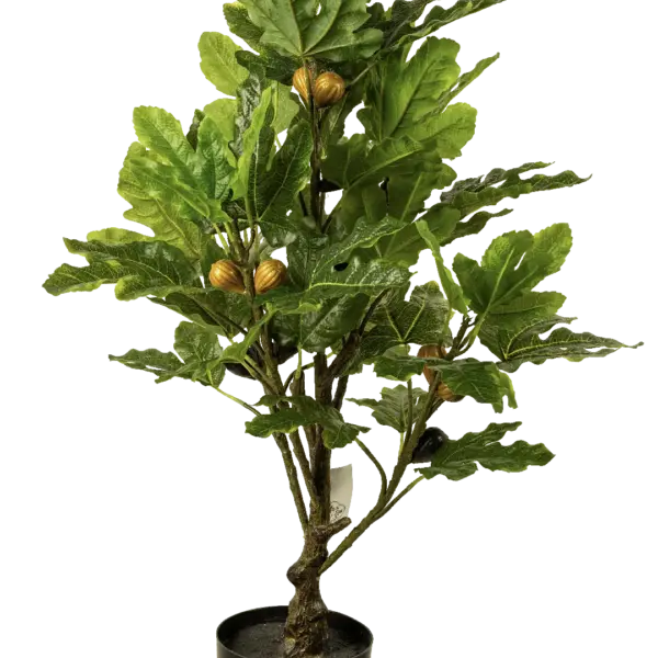 Artificial Fig Tree — Mediterranean 80cm | Vyne Boutique