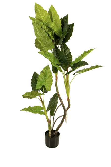 Artificial Alocasia Elephant Ear — 120cm | Vyne Boutique
