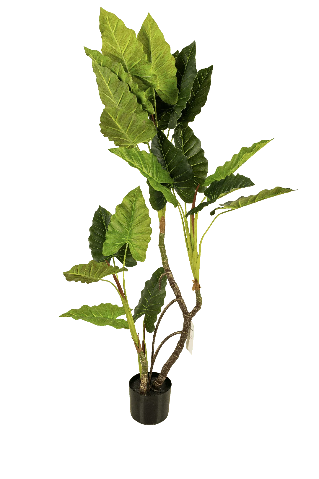Alocasia (Elephant Ear) 120cm | Vyne Artificial Alocasia Elephant Ear — 120cm | Vyne Boutique