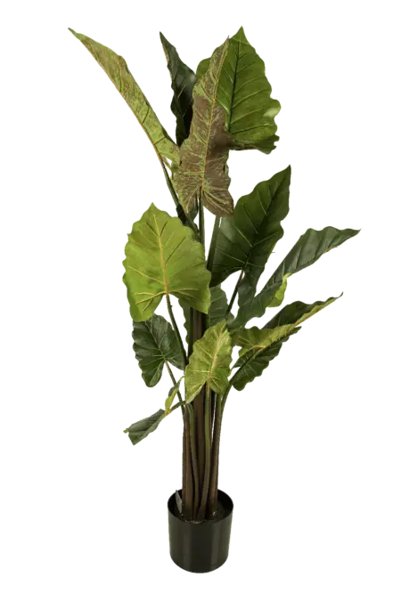 Artificial Alocasia Elephant Ear — 145cm | Vyne Boutique