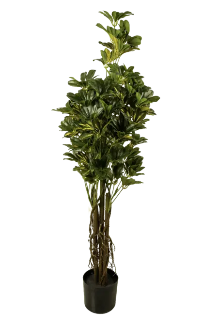 Artificial Umbrella Tree — Schefflera 150cm | Vyne Boutique