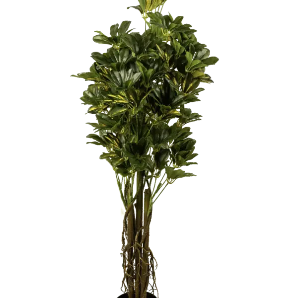 Artificial Umbrella Tree — Schefflera 150cm | Vyne Boutique