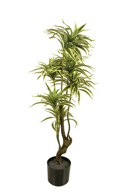 Artificial Dracaena Reflexa Variegated — 110cm | Vyne Boutique