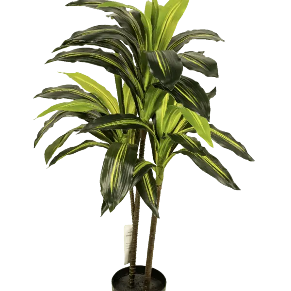 Artificial Dracaena Fragrans Plant — 100cm | Vyne Boutique