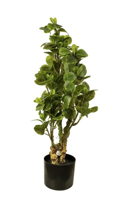 Artificial Rubber Tree — Ficus Elastica 70cm | Vyne Boutique