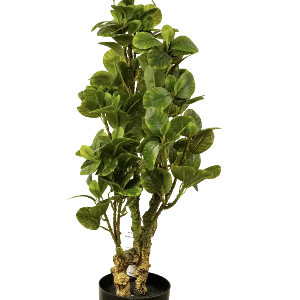 Artificial Rubber Tree — Ficus Elastica 70cm | Vyne Boutique