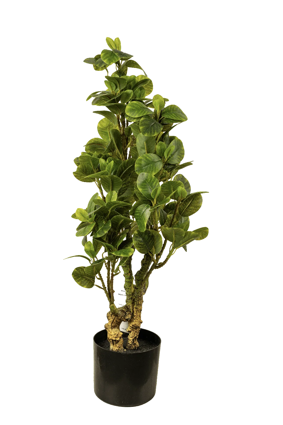Ficus Elastica (Rubber Tree) 70cm | Vyne Artificial Rubber Tree — Ficus Elastica 70cm | Vyne Boutique