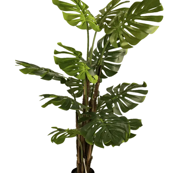 Artificial Monstera Deliciosa Plant — 140cm | Vyne Boutique
