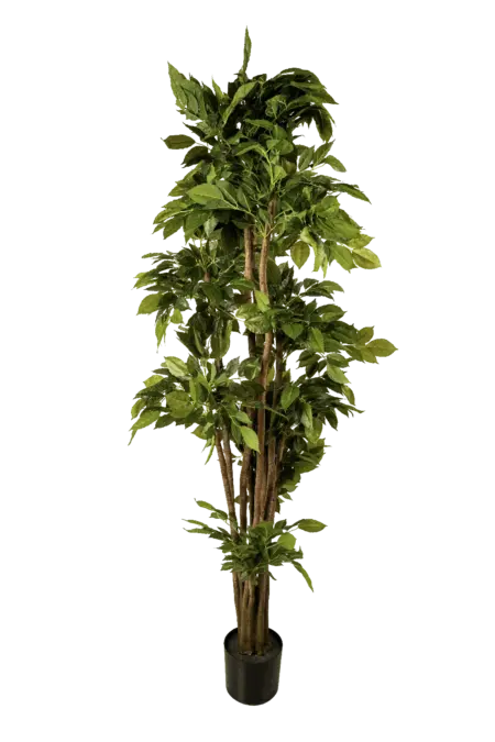 Artificial Willow Leaf Ficus — 190cm | Vyne Boutique