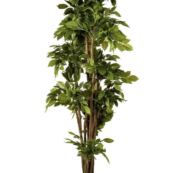 Artificial Willow Leaf Ficus — 190cm | Vyne Boutique
