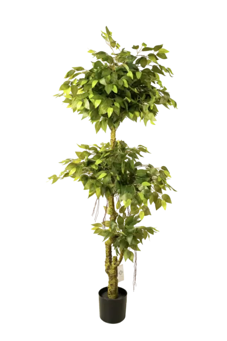 Artificial Ficus Benjamina — Weeping Fig 180cm | Vyne Boutique