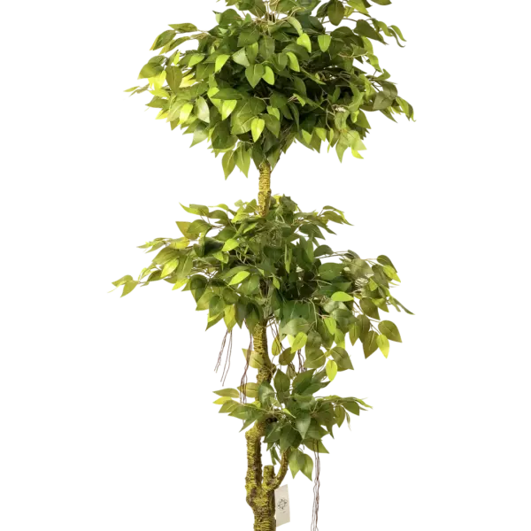 Artificial Ficus Benjamina — Weeping Fig 180cm | Vyne Boutique