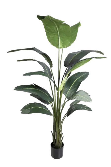 Artificial Banana Plant — 200cm | Vyne Boutique