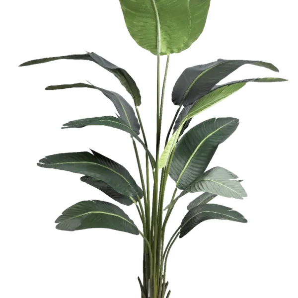Artificial Banana Plant — 200cm | Vyne Boutique