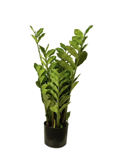 Artificial Zamioculcas Zamiifolia Plant — 80cm | Vyne Boutique