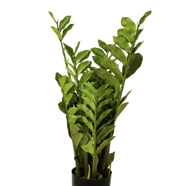 Artificial ZZ Plant — Zamioculcas 80cm | Vyne Boutique