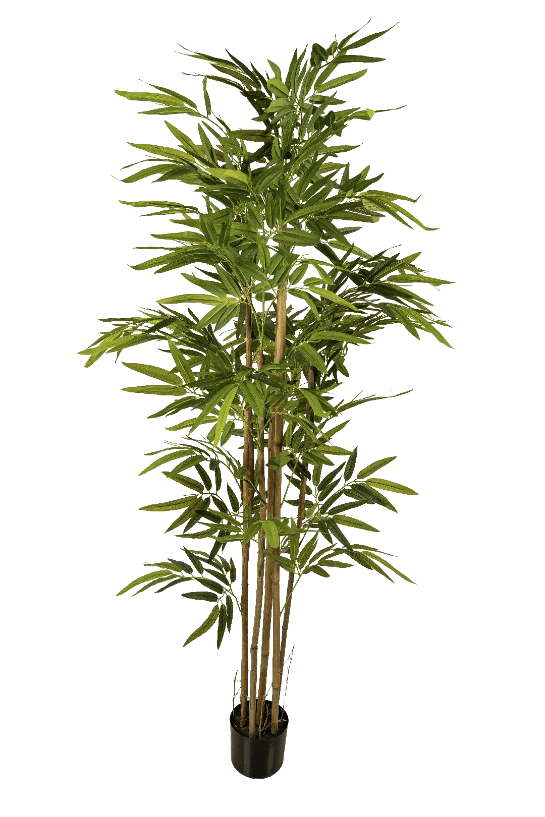 Bamboo Tree (190cm) | Vyne Artificial Bamboo Tree — 190cm | Vyne Boutique
