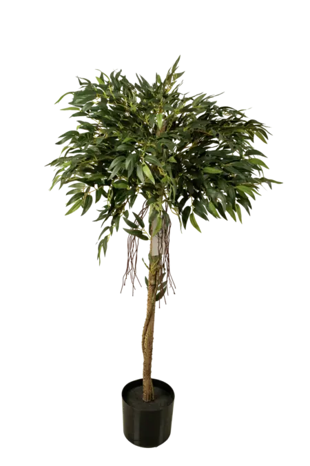 Artificial Ficus Alii Tree — 120cm | Vyne Boutique
