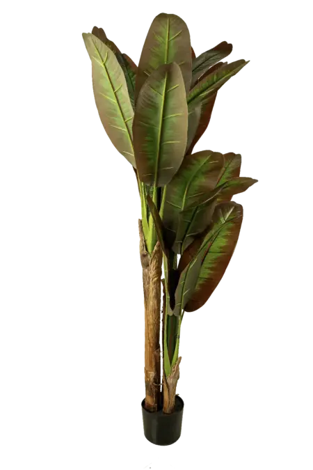 Artificial Banana Plant — 150cm | Vyne Boutique