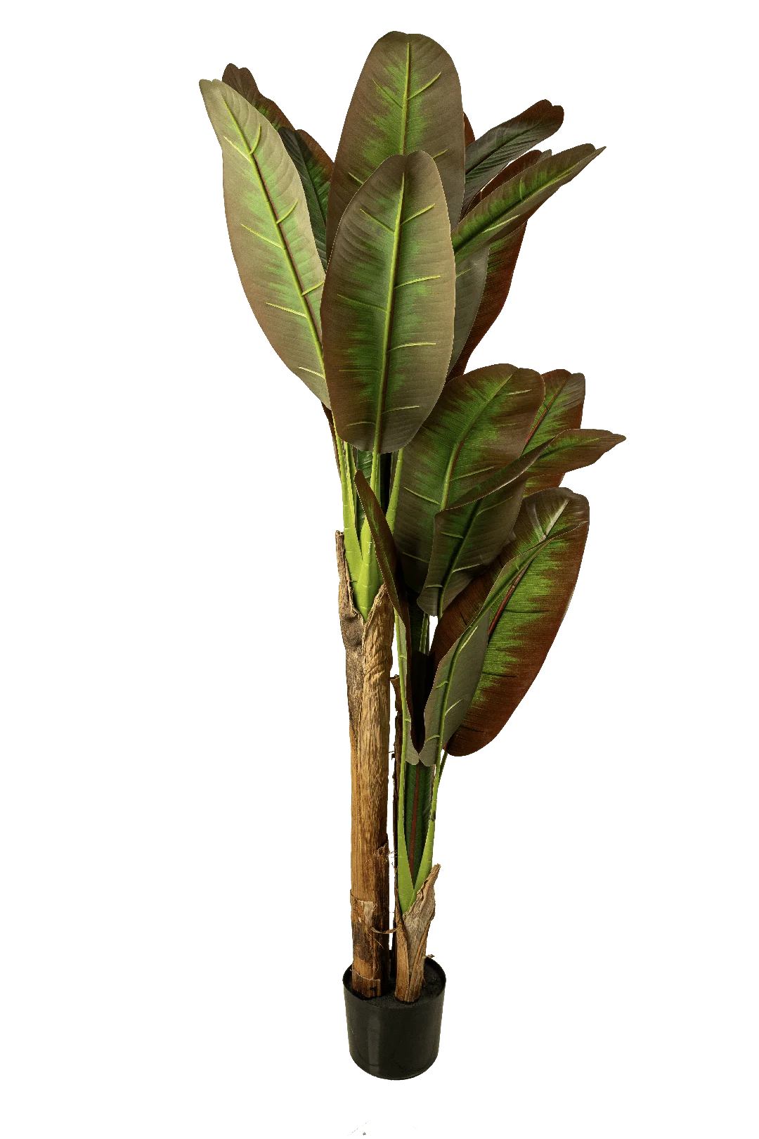 Banana Plant (150cm) | Vyne Artificial Banana Plant — 150cm | Vyne Boutique