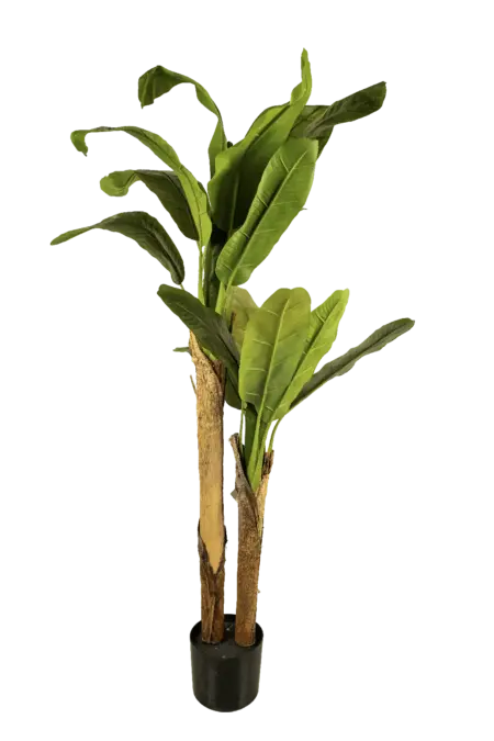 Artificial Banana Plant — 160cm | Vyne Boutique