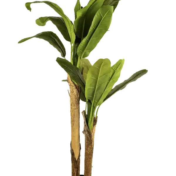 Artificial Banana Plant — 160cm | Vyne Boutique