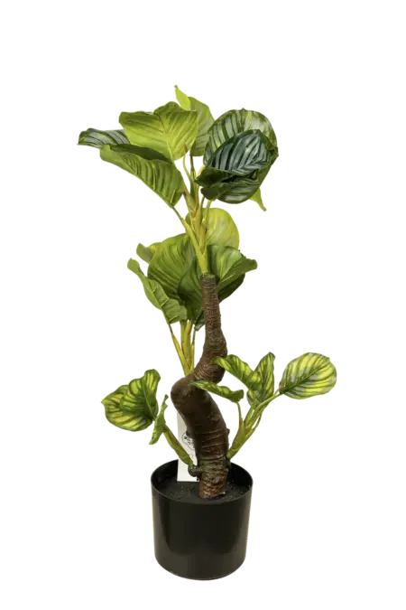 Artificial Calathea Plant — 65cm | Vyne Boutique