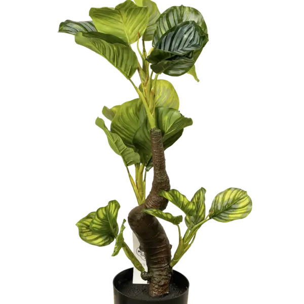 Artificial Calathea Plant — 65cm | Vyne Boutique