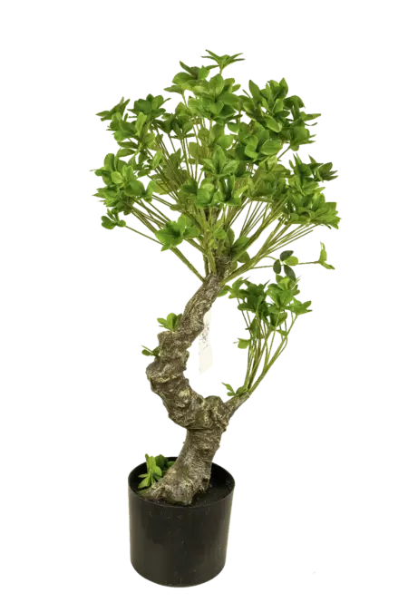 Artificial Umbrella Tree Bonsai Style — 90cm | Vyne Boutique