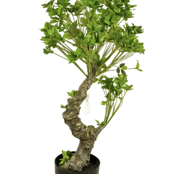 Artificial Umbrella Tree Bonsai Style — 90cm | Vyne Boutique