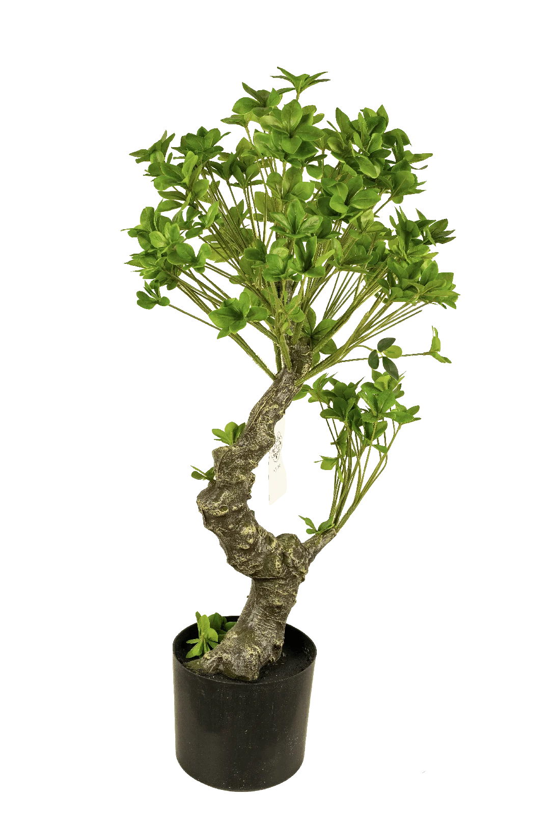 Umbrella Tree Bonsai Style 90cm | Vyne Artificial Umbrella Tree Bonsai Style — 90cm | Vyne Boutique