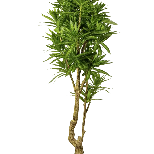 Artificial Dracaena Song of India — 15cm | Vyne Boutique