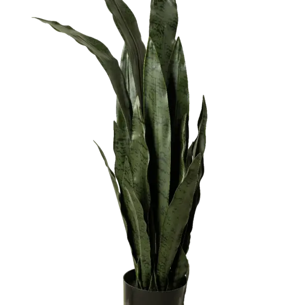 Artificial Snake Plant — 90cm | Vyne Boutique