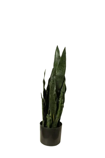 Artificial Snake Plant — 60cm | Vyne Boutique
