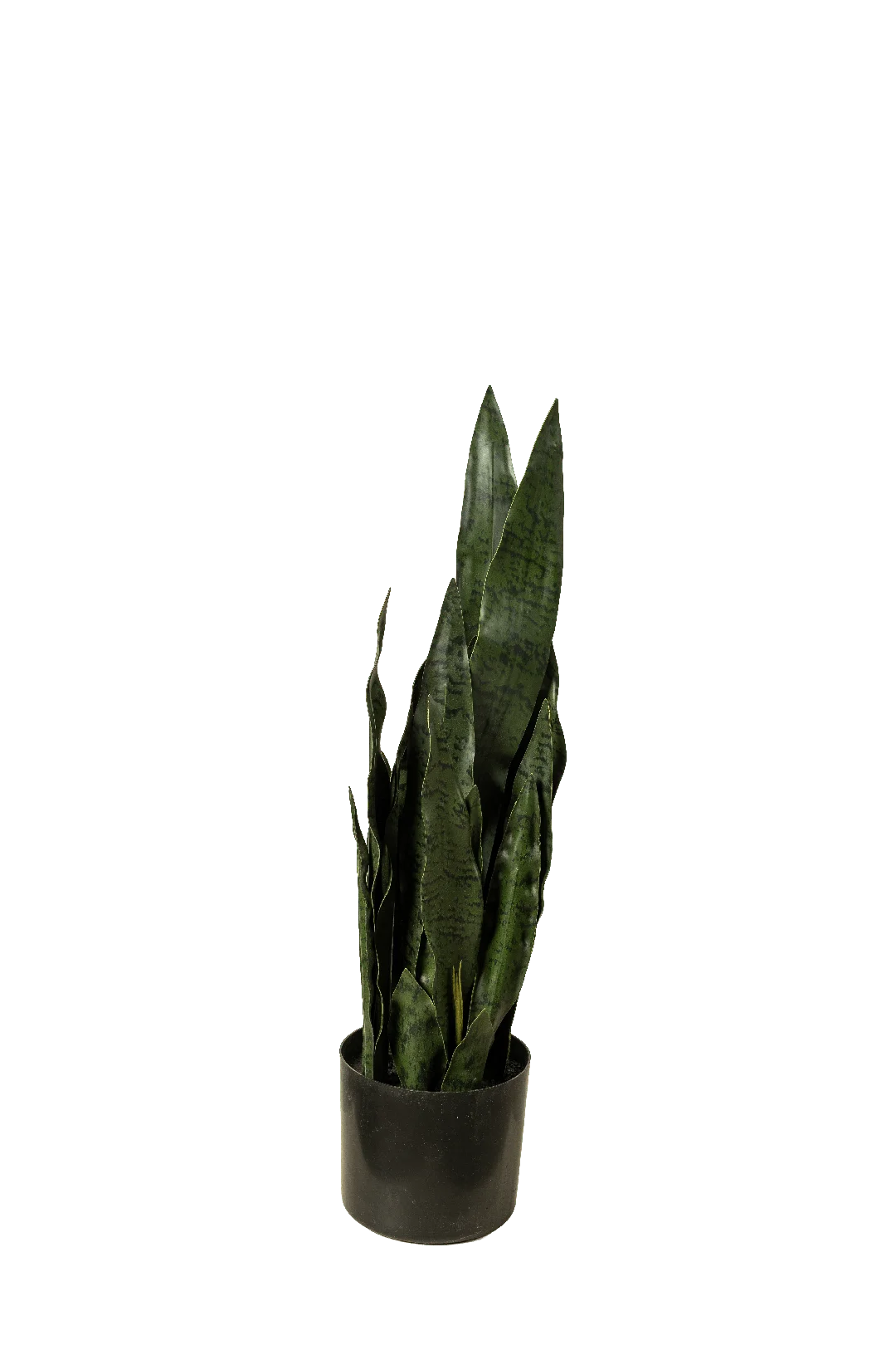 Snake Plant (60cm) | Vyne Artificial Snake Plant — 60cm | Vyne Boutique