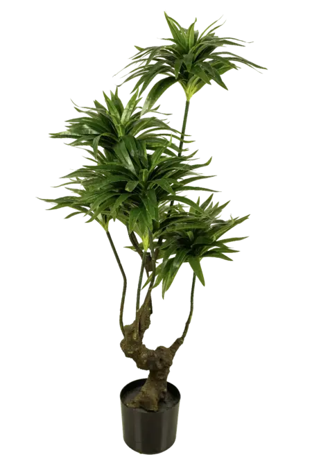 Artificial Dracaena Plant — 130cm | Vyne Boutique