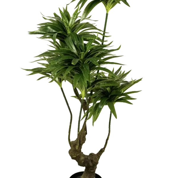 Artificial Dracaena Plant — 130cm | Vyne Boutique