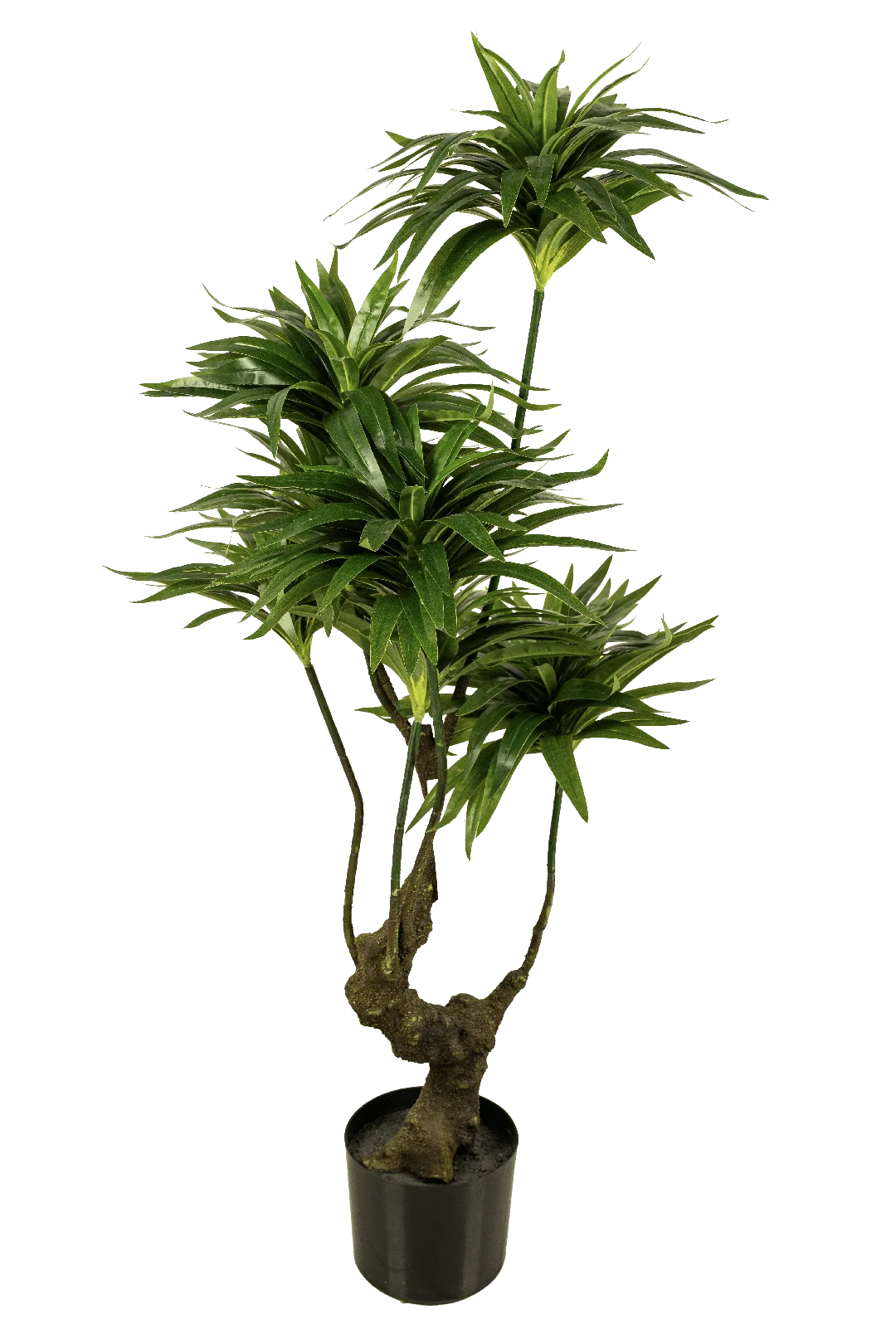Dracaena (130cm) | Vyne Artificial Dracaena Plant — 130cm | Vyne Boutique