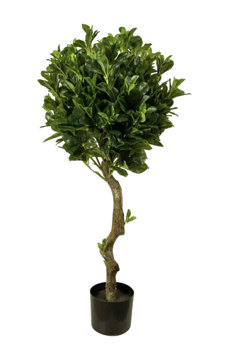 Artificial Pittosporum Tobira — 100cm | Vyne Boutique