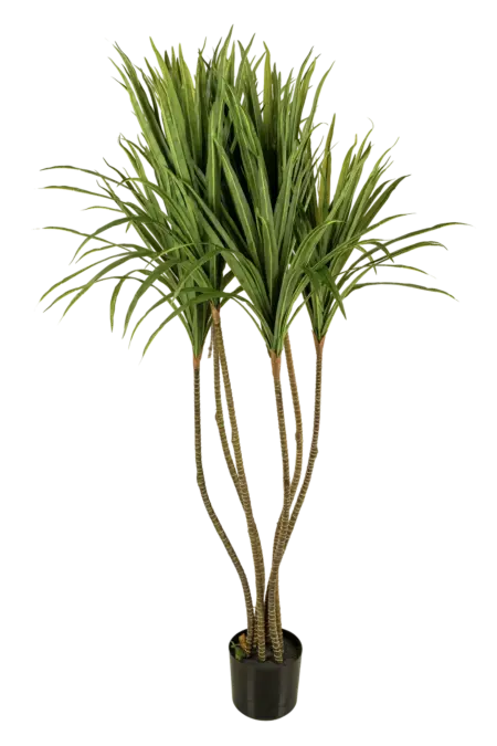 Artificial Dracaena Marginata Tree — 150cm | Vyne Boutique