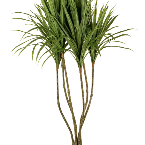 Artificial Dracaena Marginata Tree — 150cm | Vyne Boutique