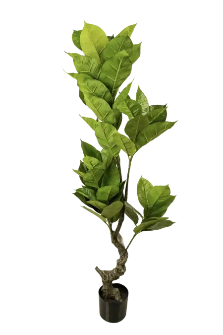 Artificial Rubber Plant — Ficus Elastica 150cm | Vyne Boutique