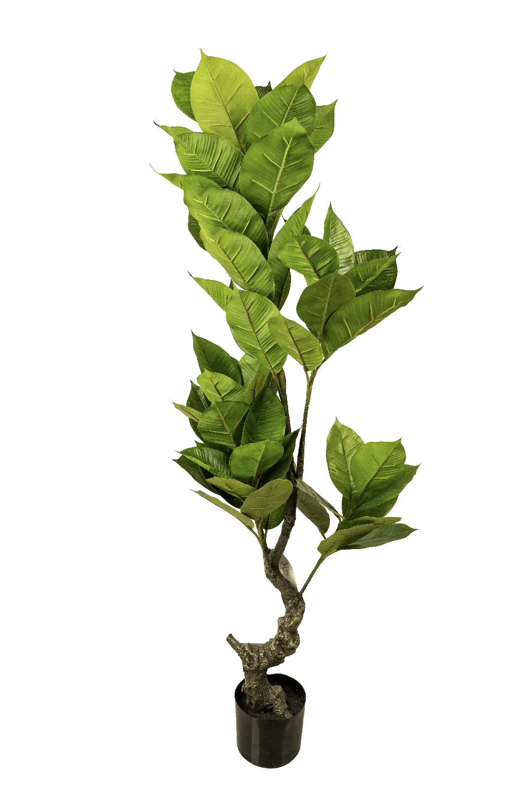 Ficus Elastica (Rubber Plant) 150cm | Vyne Artificial Rubber Plant — Ficus Elastica 150cm | Vyne Boutique