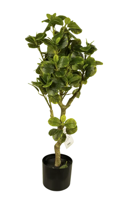 Artificial Rubber Tree — Ficus Elastica 85cm | Vyne Boutique