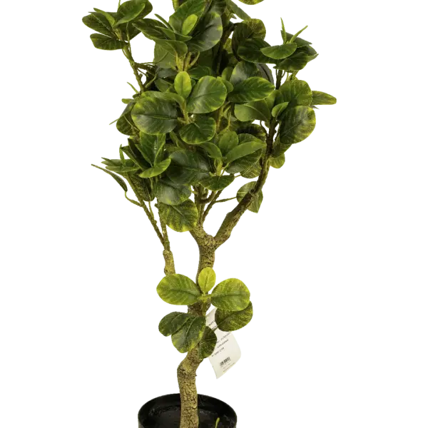 Artificial Rubber Tree — Ficus Elastica 85cm | Vyne Boutique