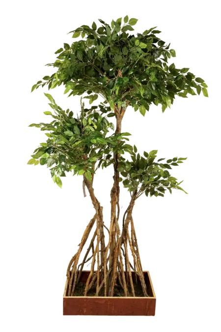 Artificial Ficus Microcarpa Tree — 180cm | Vyne Boutique