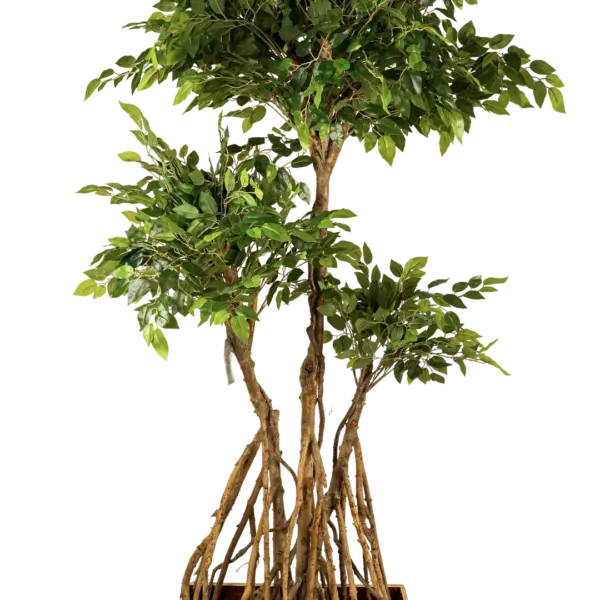 Artificial Ficus Microcarpa Tree — 180cm | Vyne Boutique