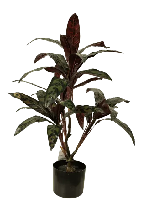 Artificial Calathea Plant — 50cm | Vyne Boutique