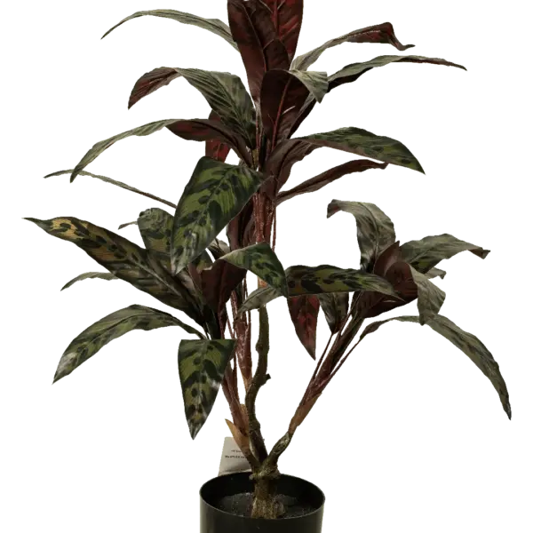 Artificial Calathea Plant — 50cm | Vyne Boutique