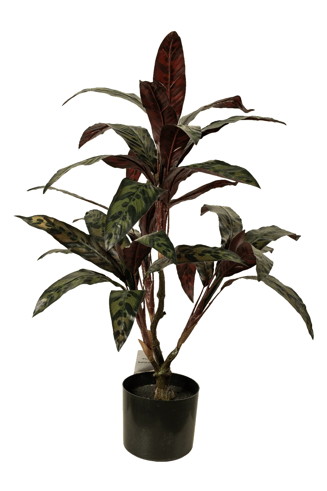 Calathea (50cm) | Vyne Artificial Calathea Plant — 50cm | Vyne Boutique